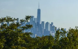 Algumas imagens do One World Trade, vistas através de uma exuberante copa de árvores.