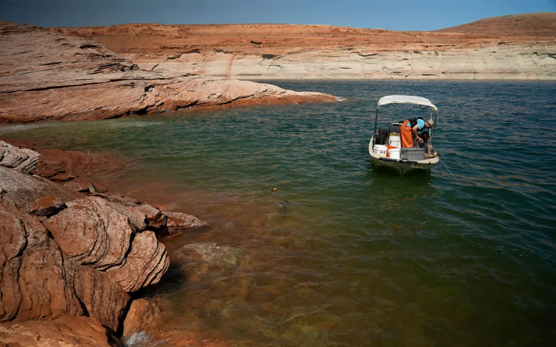 Uma equipe de pesquisa da Universidade Estadual de Utah trabalha no Lago Powell em 7 de junho de 2022, em Page, Arizona. Confirmando seus piores temores sobre os níveis recordes do lago, os biólogos pesqueiros do Serviço de Parques Nacionais descobriram que o robalo, um peixe predador não nativo, passou pela represa de Glen Canyon e parece ter desovado no baixo rio Colorado, onde pode atacar o jubarte, um antigo peixe nativo que eles têm trabalhado para restabelecer.