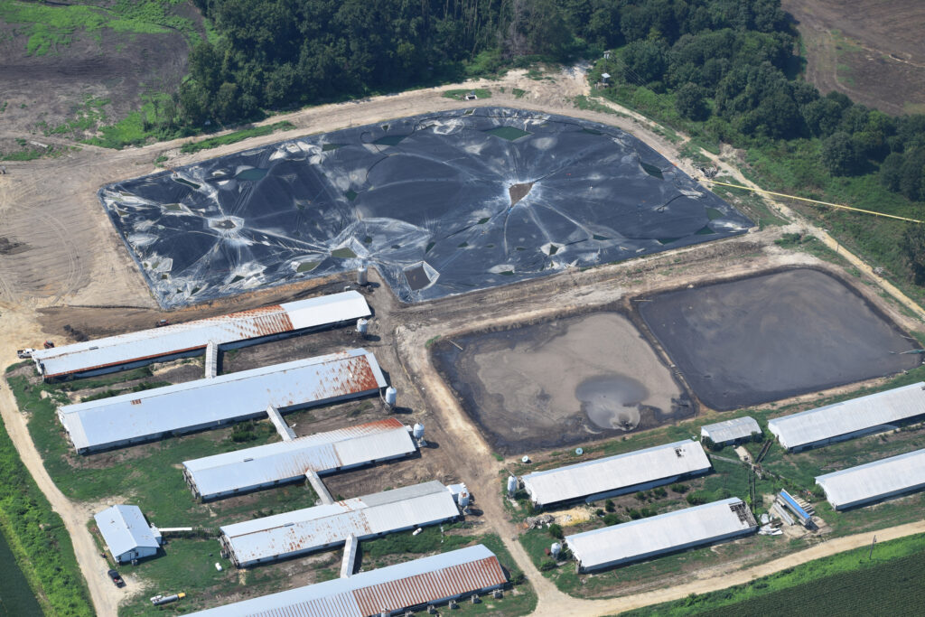 Uma vista aérea da Fazenda White Oaks em agosto de 2022, que mostra uma cobertura de digestor anaeróbico comprometida e duas lagoas descobertas que continham resíduos. Crédito: Cortesia de Samantha Krop