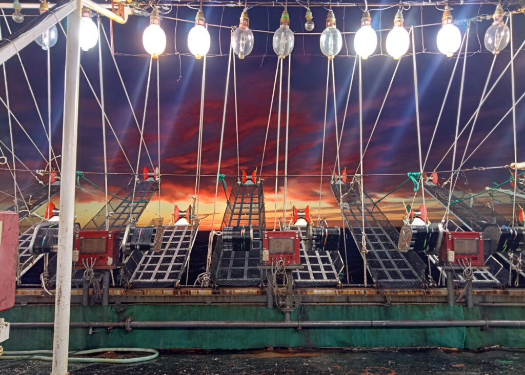 Uma vista do nascer do sol a bordo de um navio de pesca de lulas no sudoeste do Oceano Atlântico. Crédito: Fundação de Justiça Ambiental