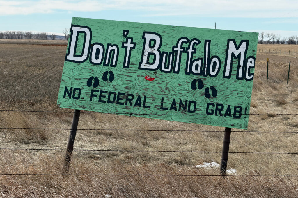 Uma placa que diz “Don't Buffalo Me” é exibida por criadores de gado de Montana que se opõem ao pastoreio de bisões em terras federais. Crédito: Blaine Harden/Naturlink