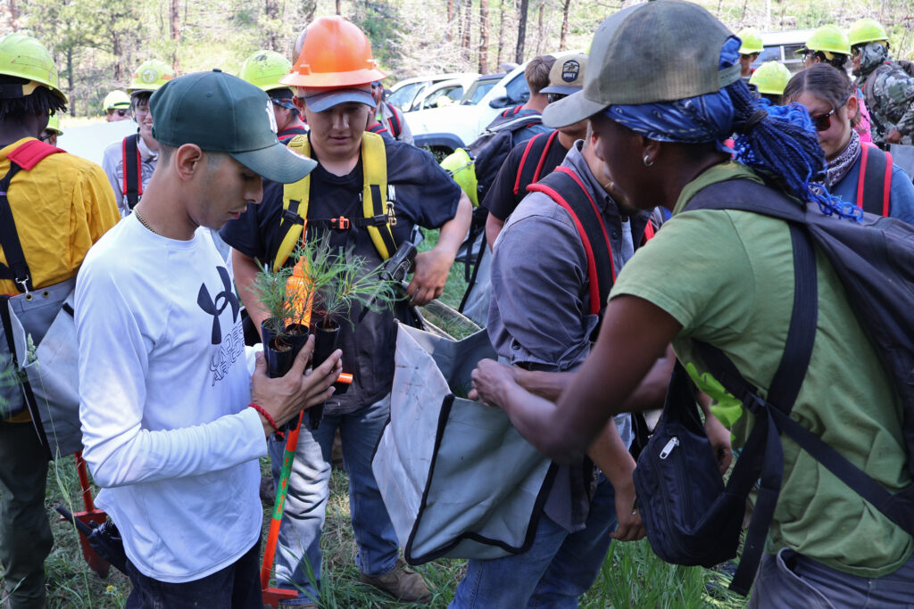 Pessoas participam de uma sessão de treinamento de plantio para o Centro de Reflorestamento do Novo México. Crédito: Cortesia de Pouli Sikelianos/NMHU