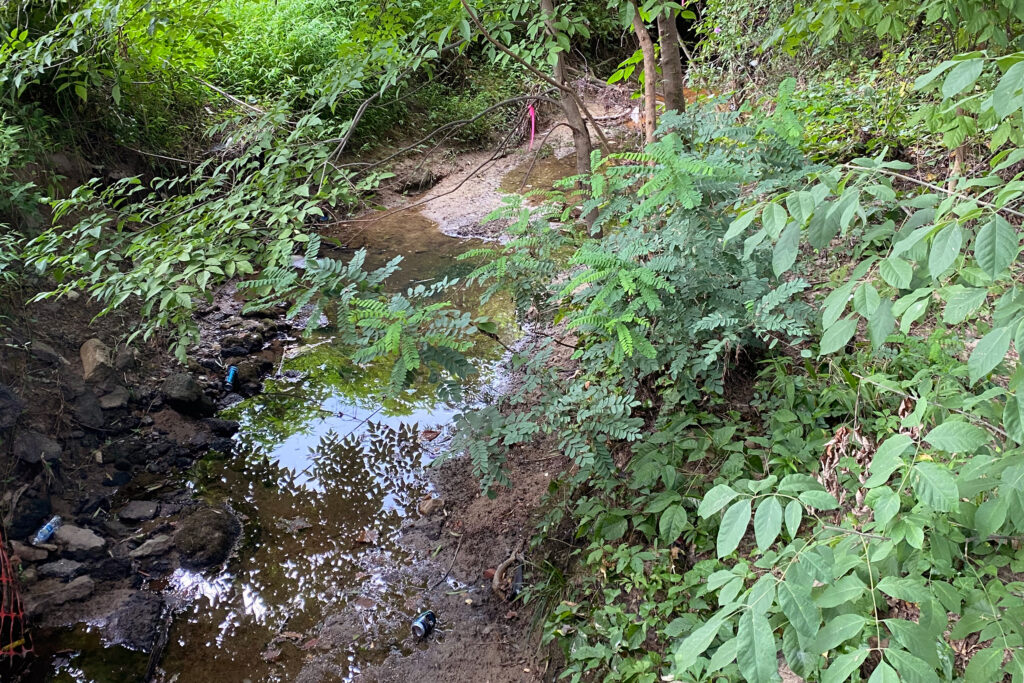 Downstream of Brenntag’s Durham plant, where toxic chemicals was detected in the sediment of a creek that flows through Burton Park. Credit: Lisa Sorg/Inside Climate News