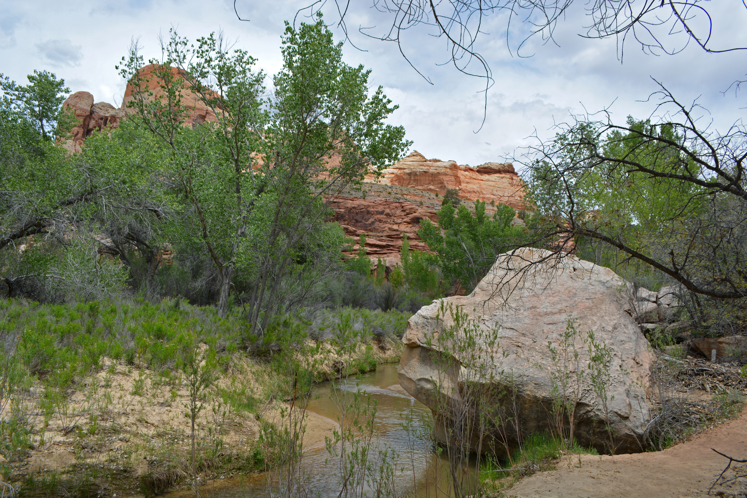 O rio Escalante flui 90 milhas até o Lago Powell, na fronteira entre Utah e Arizona. Os visitantes podem caminhar ao longo dela no Escalante River Trailhead, no Grand Staircase-Escalante National Park Monument. Crédito: Wyatt Myskow/Naturlink