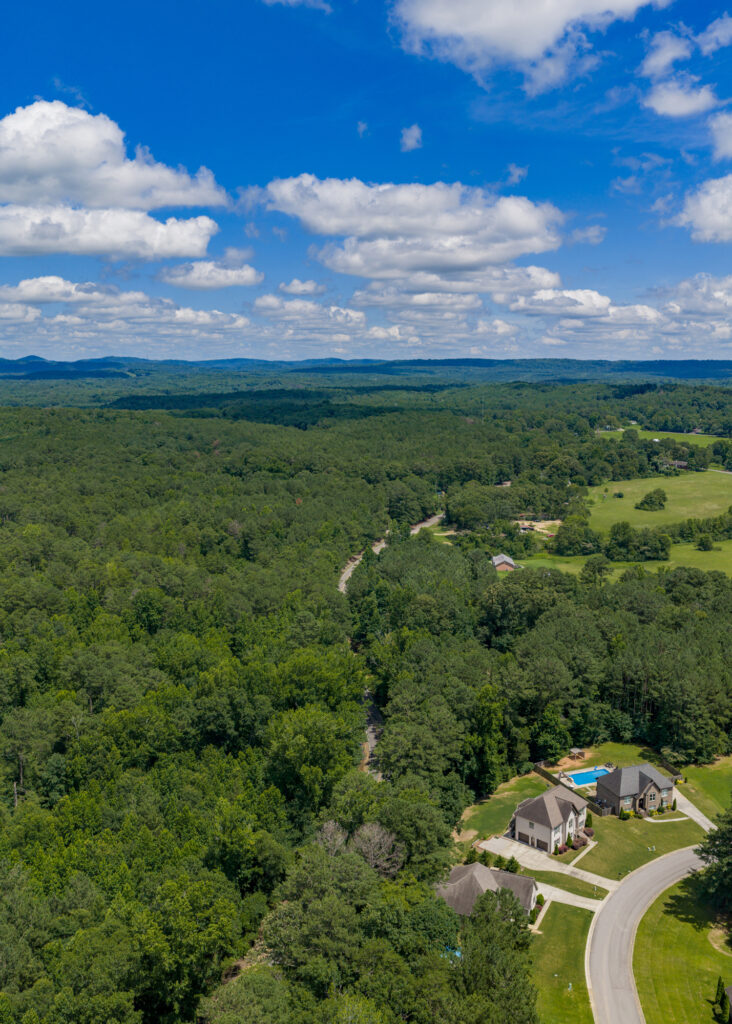 Uma foto aérea mostra um céu azul com nuvens brancas, uma faixa de floresta e um beco sem saída residencial com várias casas.