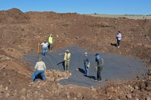 Volunteers work to create a pond as part of a habitat restoration project for the threatened Chiricahua leopard frog in the White Mountains of Arizona. Credit: Wyatt Myskow/Inside Climate News