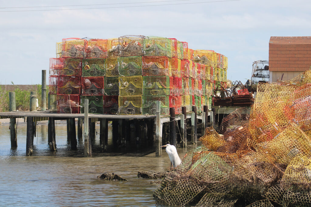 Pilhas de equipamento para pescar caranguejos na ilha de Tânger. Crédito: Charles Paullin/Naturlink