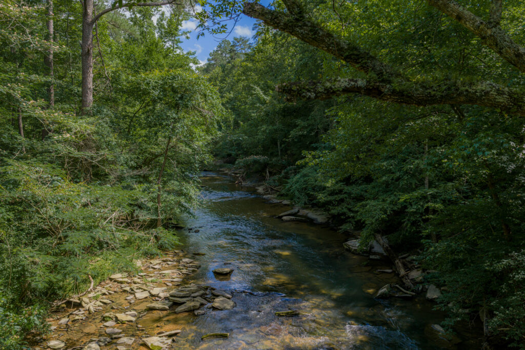 A imagem mostra uma parte de Turkey Creek, sombreada por árvores