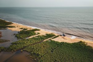A shrinking mangrove forest is seen at the edge of the Freetown Peninsula coastline in Sierra Leone on April 12. Credit: Gemma Bonfiglioli/AFP via Getty Images