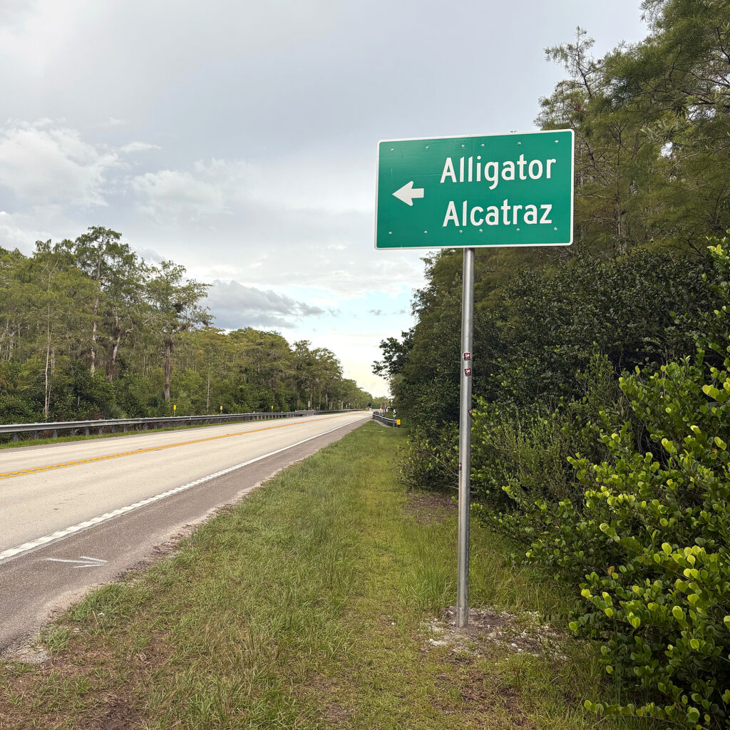 Alligator Alcatraz está situado no coração das terras tribais de Miccosukee. Crédito: Amy Green/Naturlink