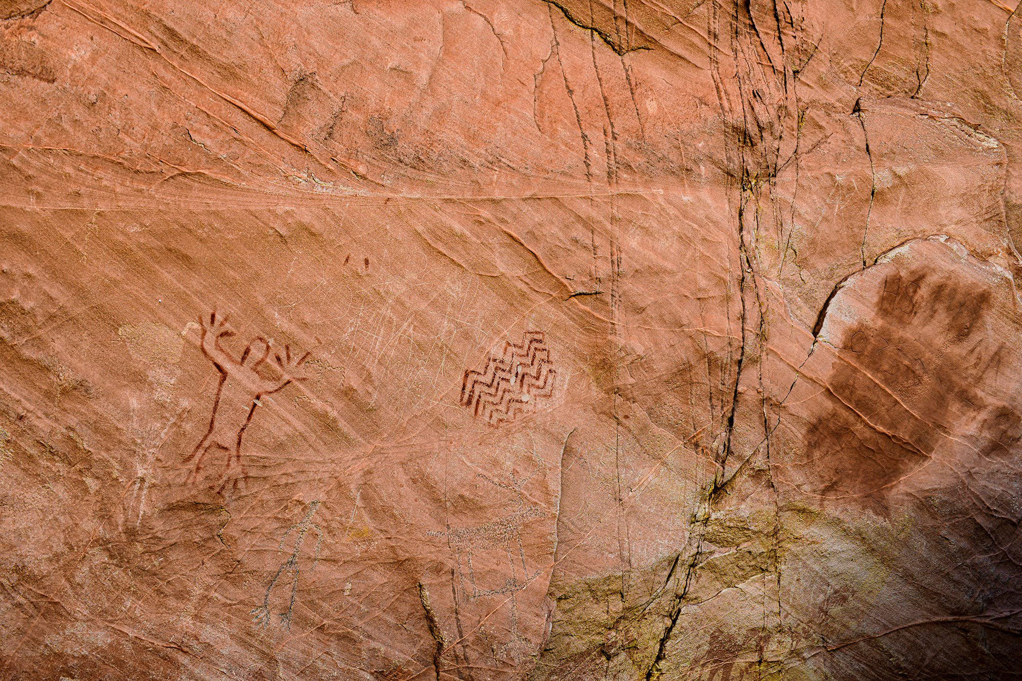 Petróglifos e pictogramas revestem as paredes rochosas do Catstair Canyon no Grand Staircase-Escalante Monument. Crédito: Tim Peterson