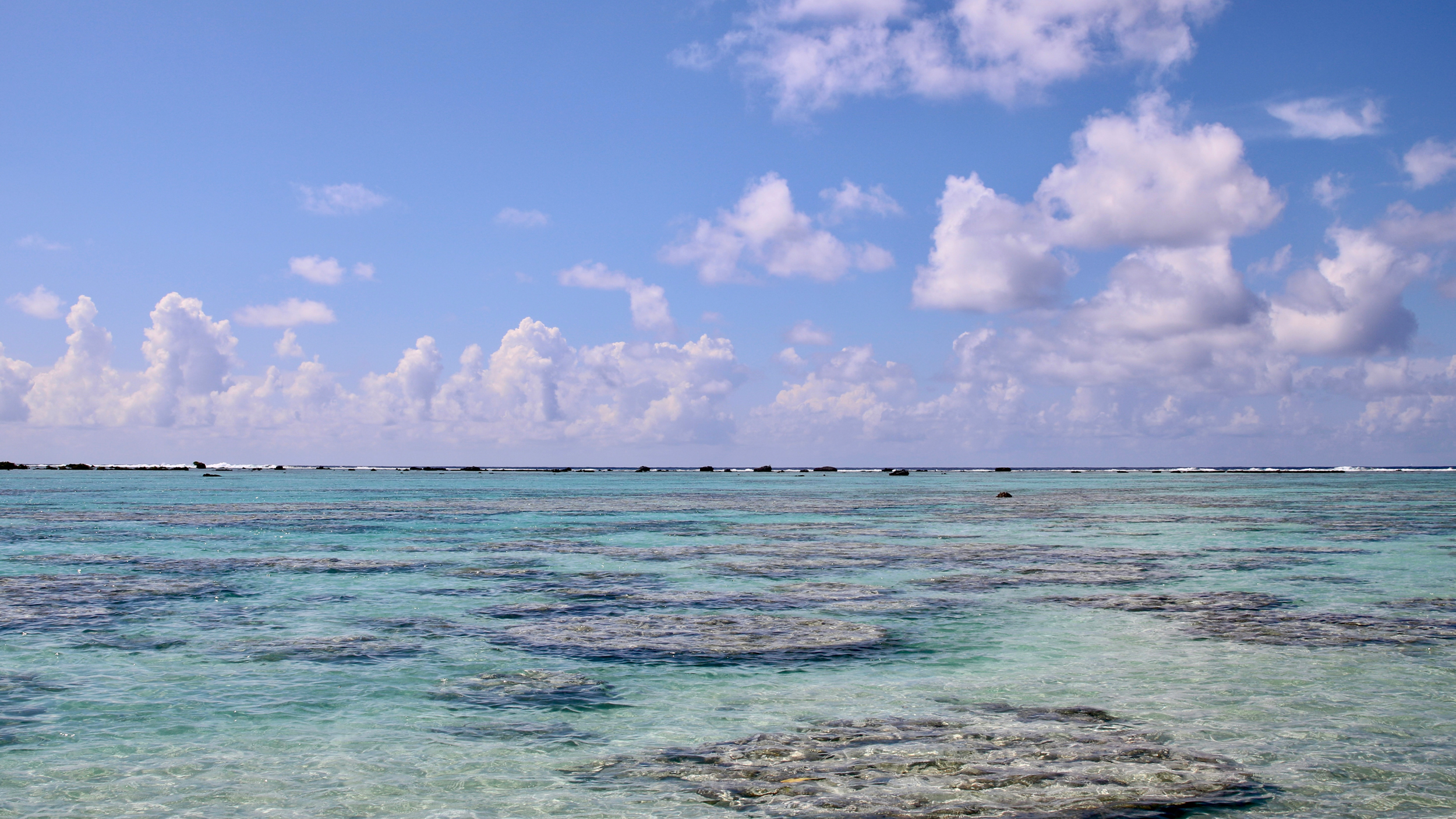 Uma vista do recife de coral de Moorea. Crédito: Ryan Green/Naturlink