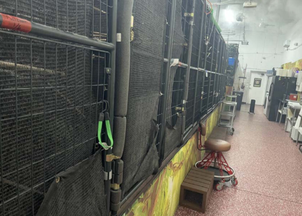 Uma foto de um inspetor da Comissão de Conservação de Peixes e Vida Selvagem da Flórida mostra um dos armazéns da Sloth World em 19 de março. Crédito: Cortesia da Comissão de Conservação de Peixes e Vida Selvagem da Flórida