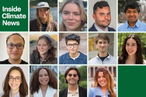 Conheça a turma de bolsistas de relatórios ambientais de verão de 2026 do ICN
