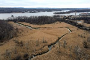 A view of wetlands in a flood zone just south of the Hudson River in Greenport, N.Y. Credit: Will Waldron/Times Union via Getty Images