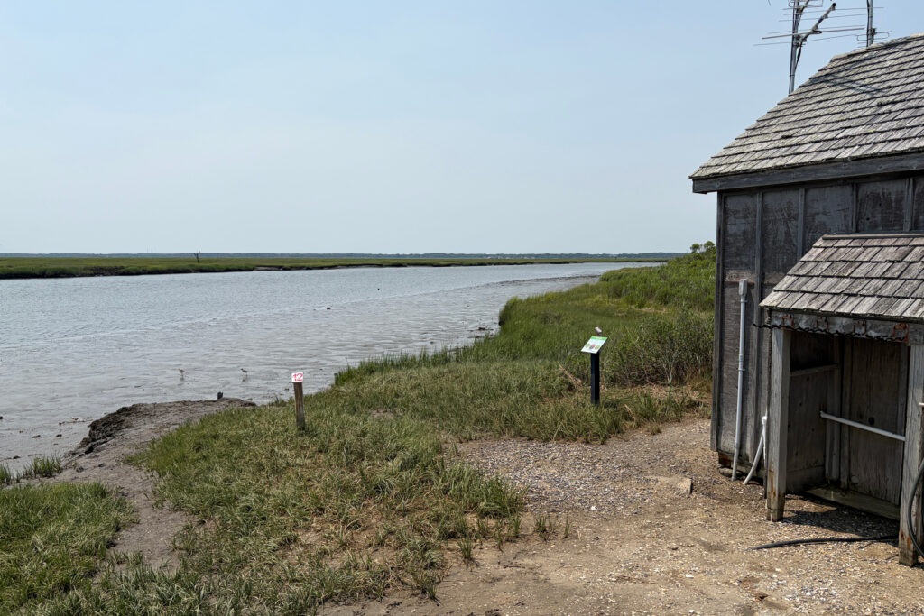 Um canal de navegação perto do pântano permite aos cientistas aceder a outras partes das zonas húmidas de barco. Crédito: Madeline Shaw/Naturlink