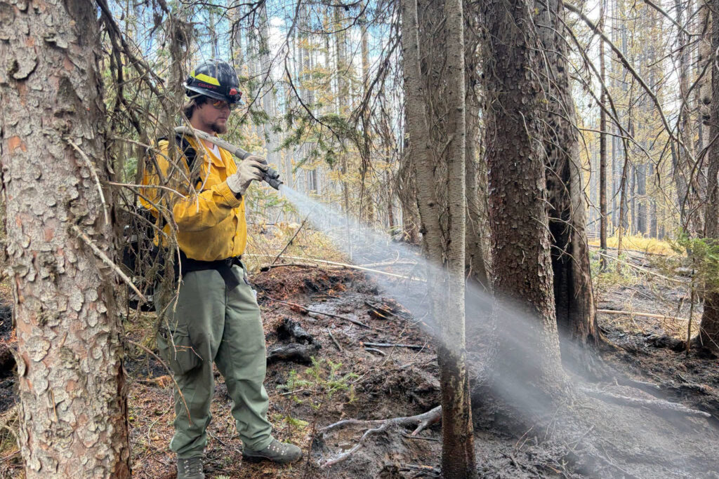 A firefighter works to secure the Moose Fire perimeter on Monday in the Beaverhead-Deerlodge National Forest. Credit: Beaverhead-Deerlodge NF Wildland Fire Information