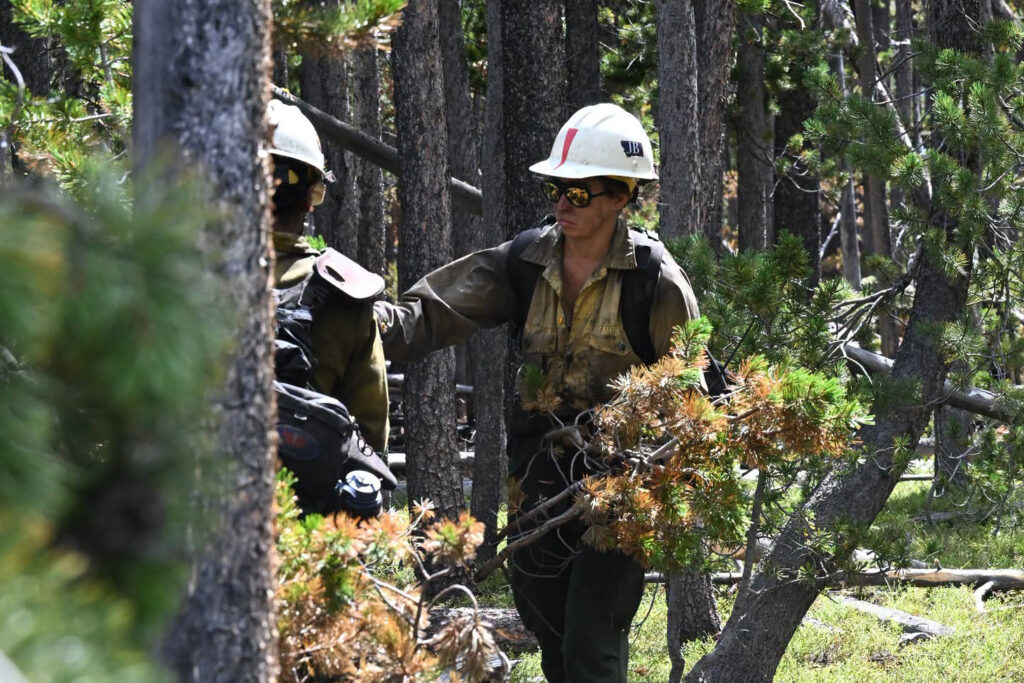 Os bombeiros trabalham em uma floresta enquanto o incêndio em Bobcat Lakes queima no sudoeste de Montana na quarta-feira. Crédito: Informações sobre incêndios florestais em Beaverhead-Deerlodge NF