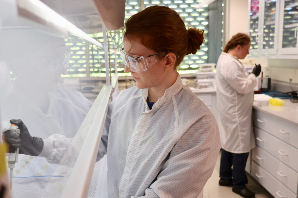 Lauren Stalford (à esquerda), ex-aluna de graduação em Ciências Ambientais da OSU, e a técnica de laboratório Christina Murphy preparam amostras para análise. Crédito: Kim Kenny