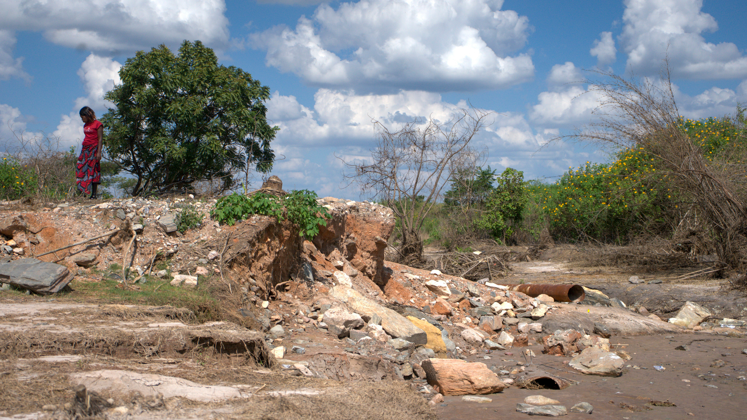 Uma paisagem na Zâmbia 12 semanas depois de a Sino-Metals, uma subsidiária de uma gigante mineira estatal chinesa, ter derramado resíduos tóxicos misturados com metais pesados, incluindo chumbo, arsénico e urânio. Crédito: Katie Surma/Naturlink