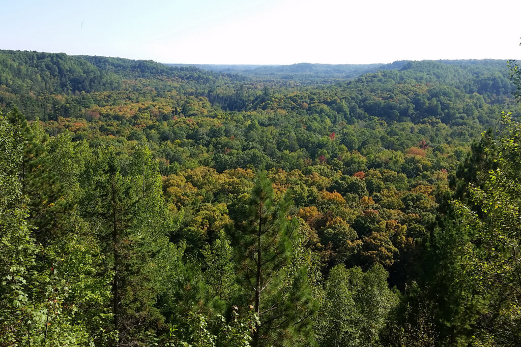 A view of Ottawa National Forest in Michigan’s Upper Peninsula. Credit: U.S. Forest Service