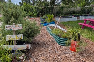 An 813 Hood Garden space in East Tampa. Credit: Courtesy of Dee Morales