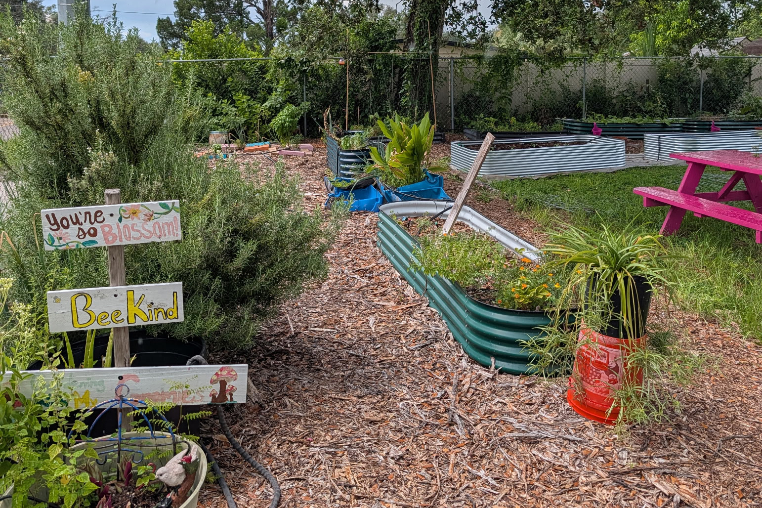 An 813 Hood Garden space in East Tampa. Credit: Courtesy of Dee Morales
