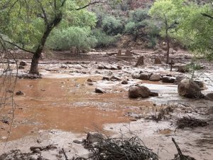 No Grand Canyon, inundações e incêndios florestais sublinham riscos climáticos extremos
