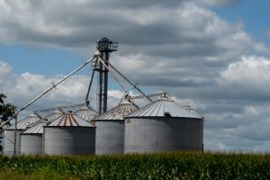 Grain bins sit at the edge of a cornfield near West Union, Iowa. Credit: Scott Olson/Getty Images
