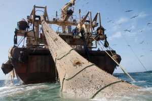 The Helen Mary, measuring 380 feet, hauls in catch. Credit: BLOOM/Pierre Gleizes