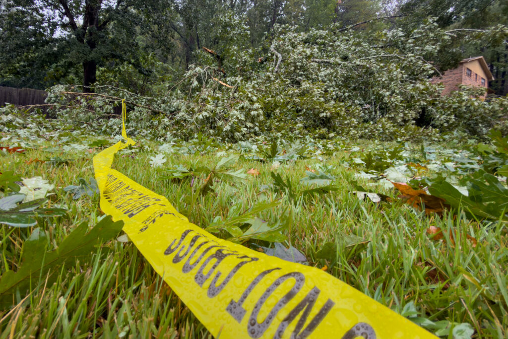 Autoridades locais disseram que uma árvore caiu na casa de Devolin “Bobo” Webster em Birmingham pouco depois das 5h de sábado. Crédito: Lee Hedgepeth/Naturlink
