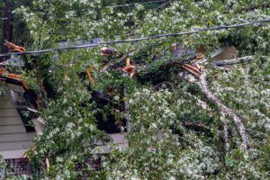 Devolin “Bobo” Webster was in bed when a tree struck his home, according to family members. Credit: Lee Hedgepeth/Inside Climate News