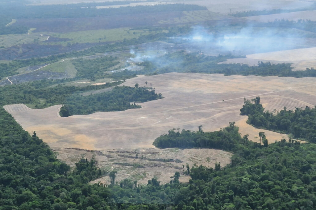 An aerial view of deforested Amazon land used for soy cultivation in Para, Brazil. Credit: Larissa Schwedes/picture alliance via Getty Images