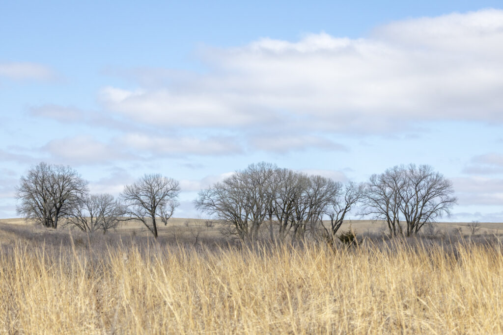 A general view of the landscape at the Spring Creek Prairie Audubon Center on March 18, 2024 near Lincoln, Nebraska; the Center works to conserve the tallgrass prairie ecosystem and associated wildlife. Credit: David Madison via Getty Images