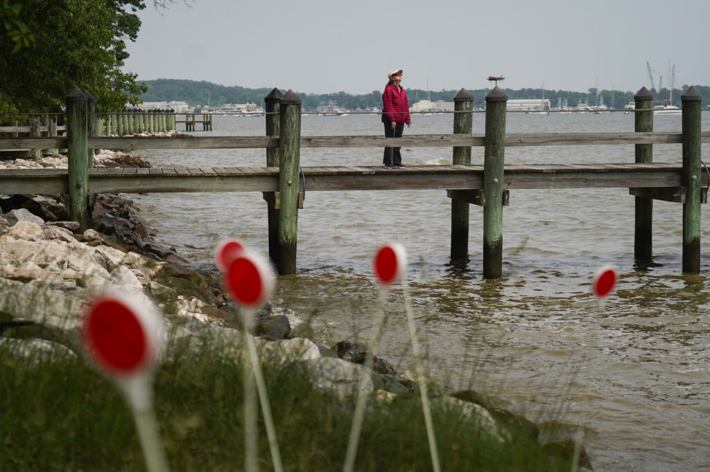 A woman stands on a pier jutting into the Chesapeake Bay near Elktonia Beach in Annapolis, Md., on May 23, 2023. Credit: Michael Robinson Chávez/The Washington Post via Getty Images